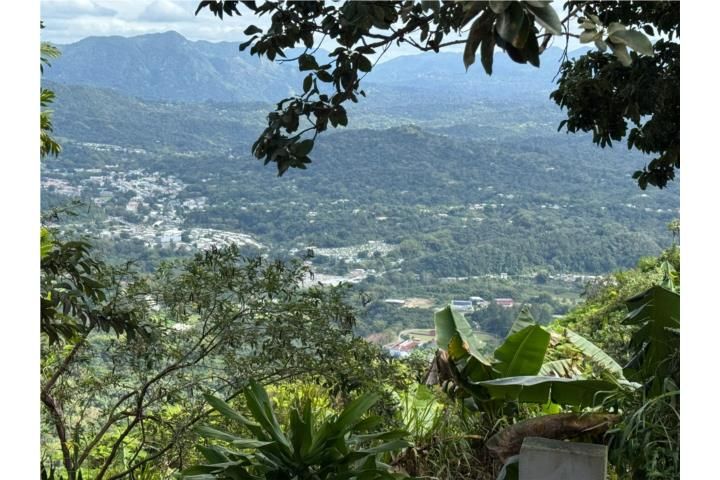 Caguana Utuado 00641 PR
