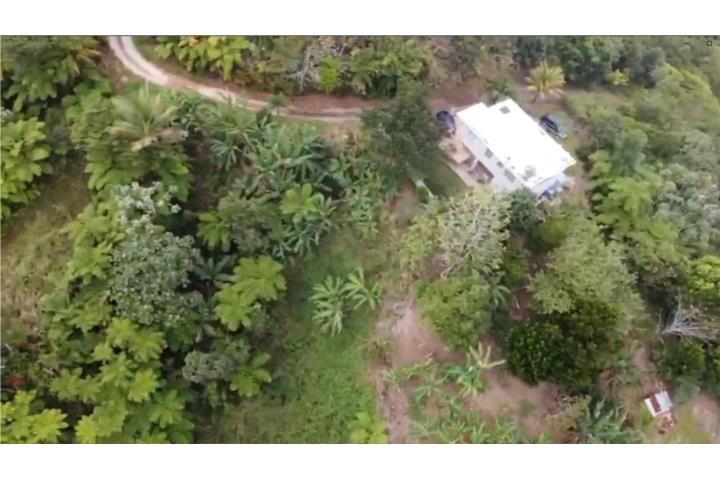 Caguana Utuado 00641 PR