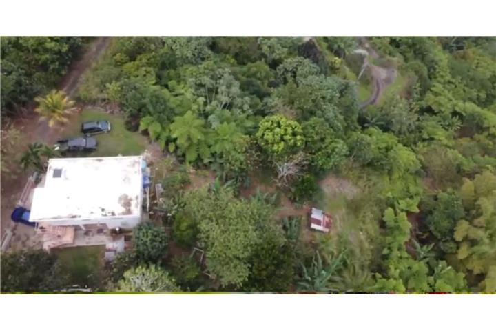 Caguana Utuado 00641 PR
