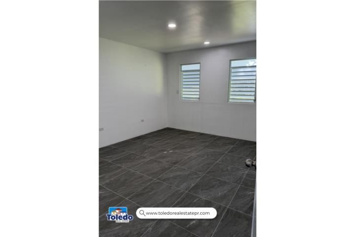 Dominguito Arecibo 00612 PR