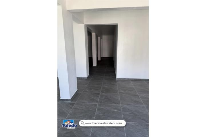 Dominguito Arecibo 00612 PR