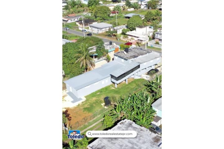 Dominguito Arecibo 00612 PR