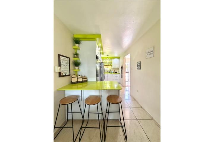 Cedro Abajo Naranjito 00719 PR
