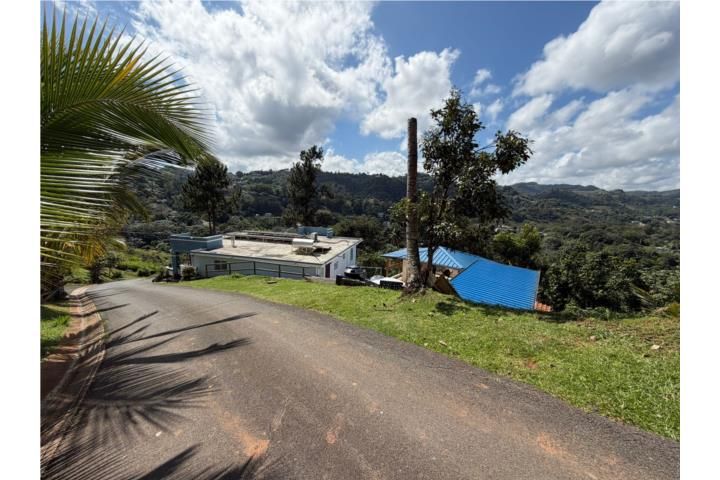 Cedro Abajo Naranjito 00719 PR