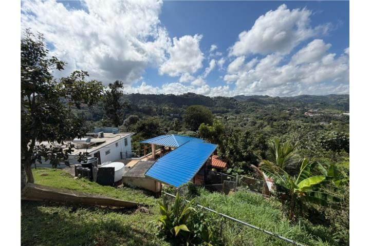 Cedro Abajo Naranjito 00719 PR