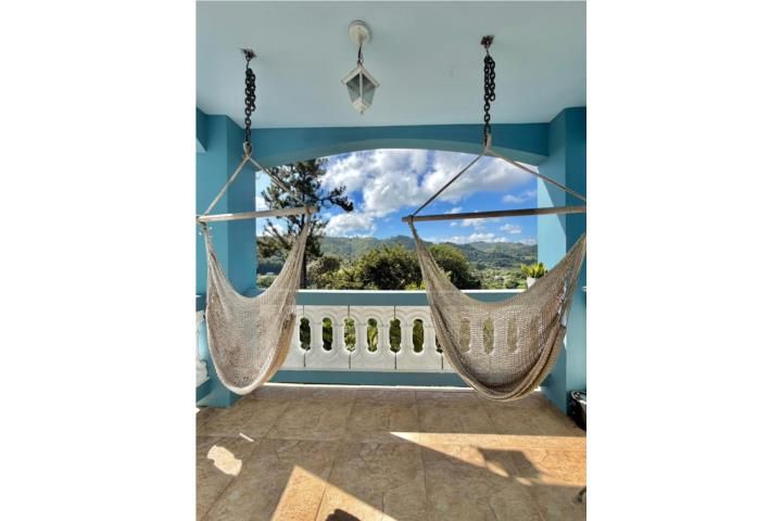 Cedro Abajo Naranjito 00719 PR