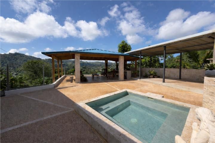 Cedro Abajo Naranjito 00719 PR