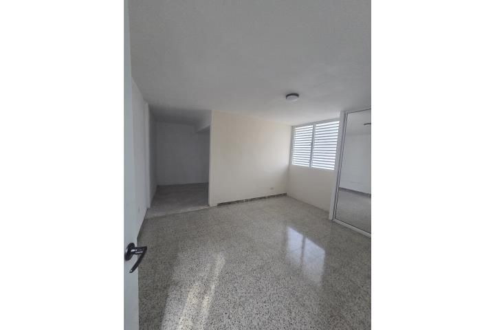C23c+233 Carolina 00983 PR