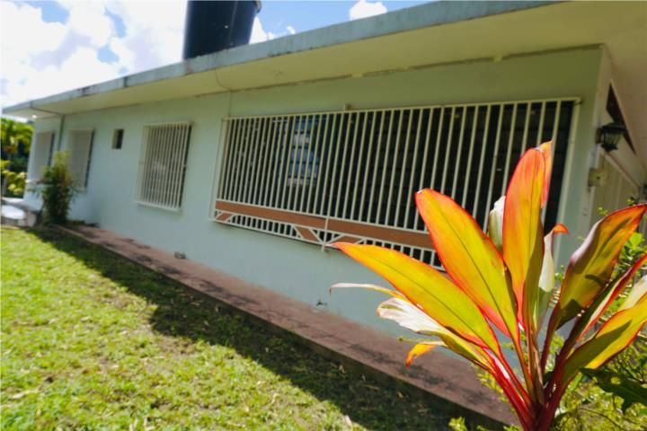 Palos Blancos Corozal 00783 PR