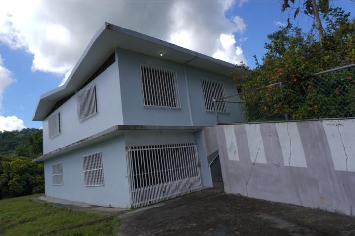 Palos Blancos Corozal 00783 PR