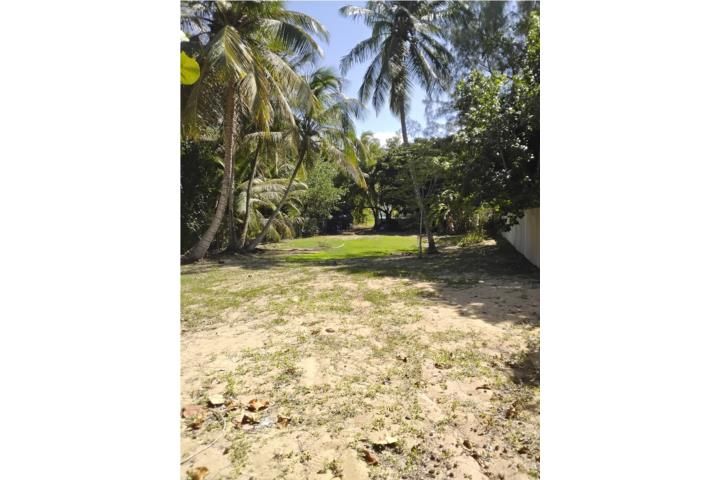 Islote Arecibo 00612 PR