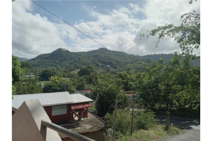 Santa Olaya Bayamon 00956 PR