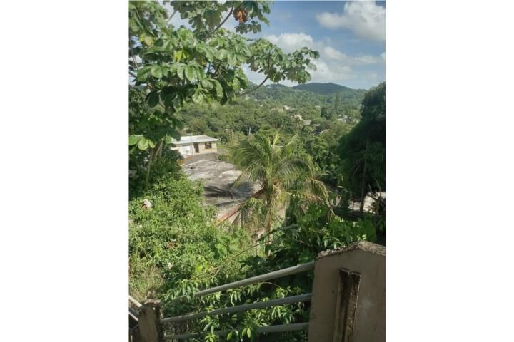 Santa Olaya Bayamon 00956 PR