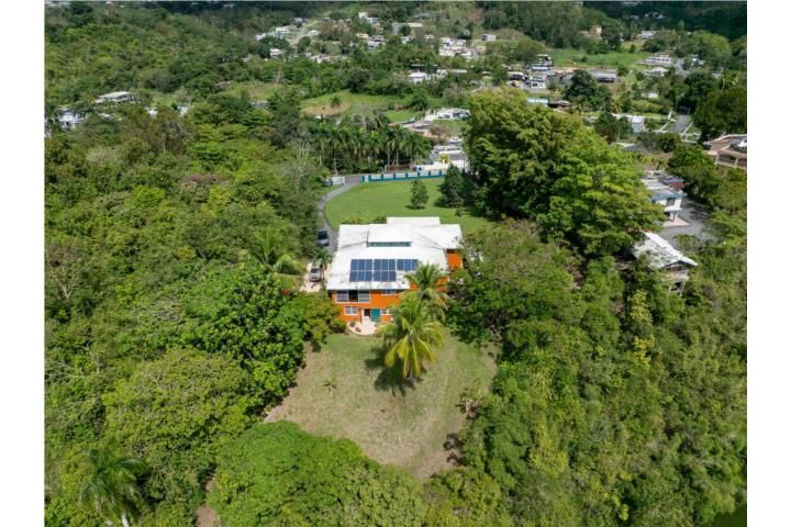 Ortíz Toa Alta 00953 PR