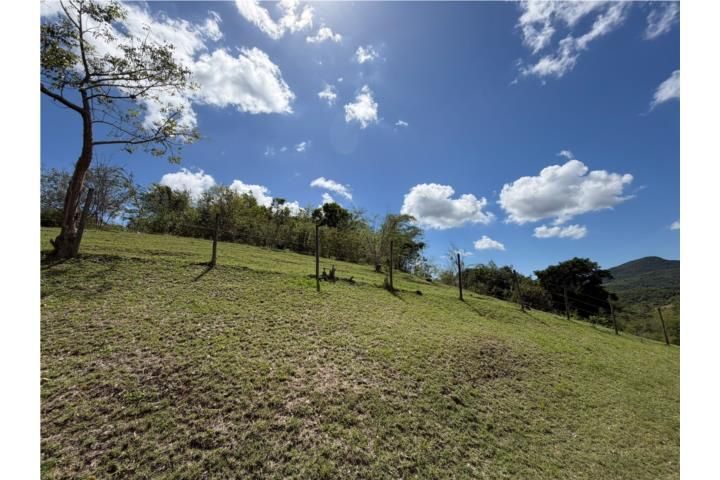 Santa Catalina Coamo 00769 PR