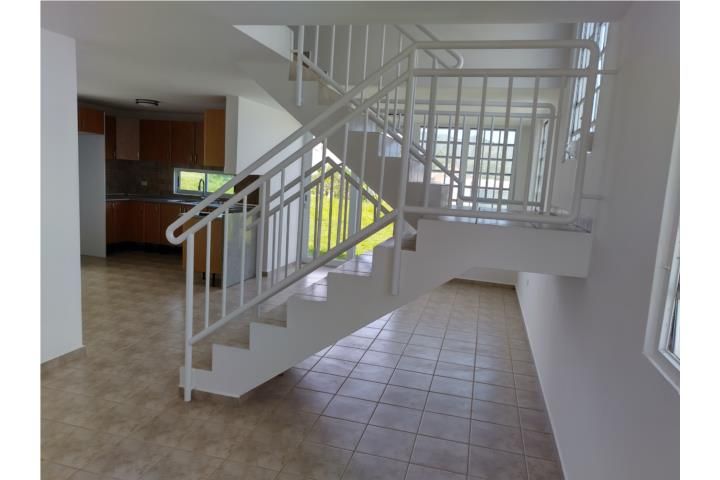 976g+pvh Luquillo 00773 PR