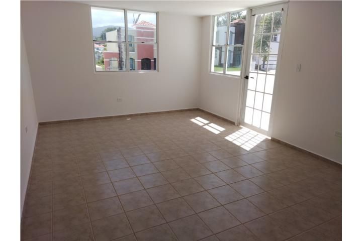 976g+pvh Luquillo 00773 PR