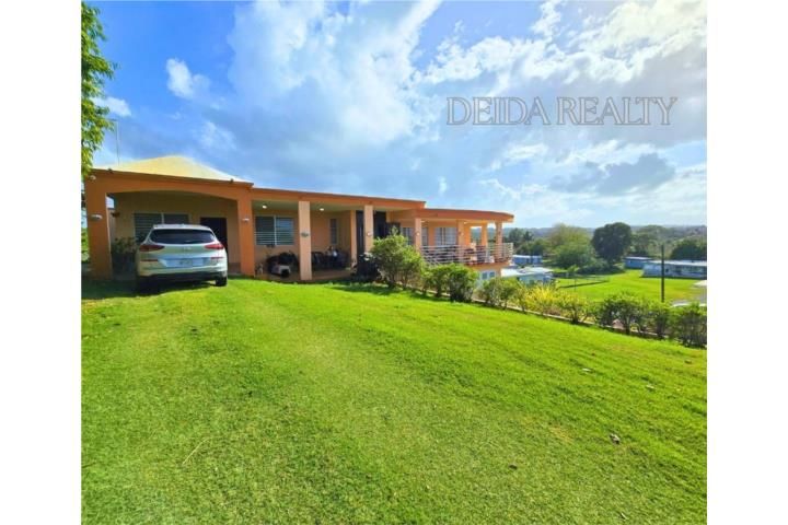 Yeguada Camuy 00627 PR