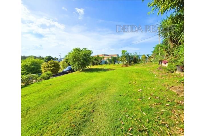 Yeguada Camuy 00627 PR