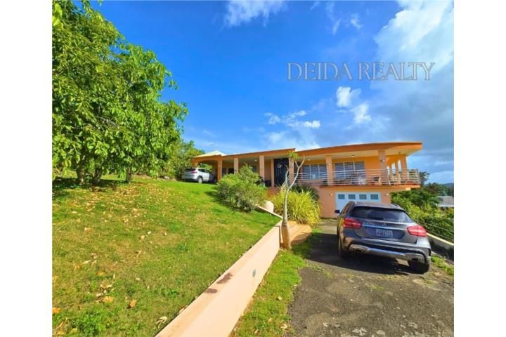Yeguada Camuy 00627 PR