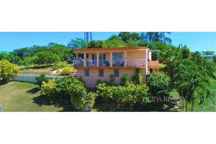 Yeguada Camuy 00627 PR