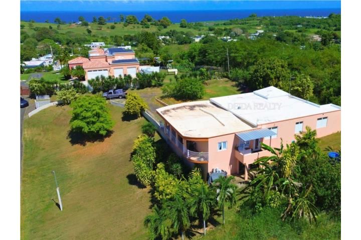 Yeguada Camuy 00627 PR