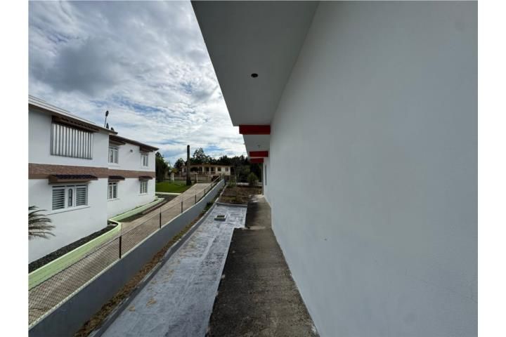 Callejones Lares 00669 PR