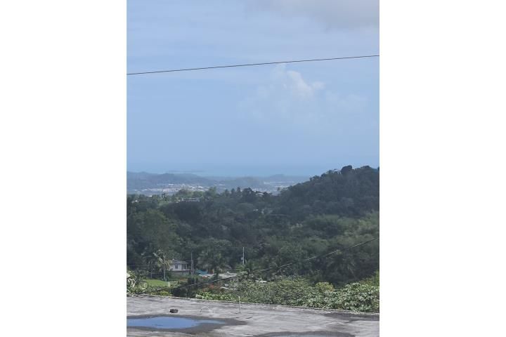 Tejas Las Piedras 00771 PR