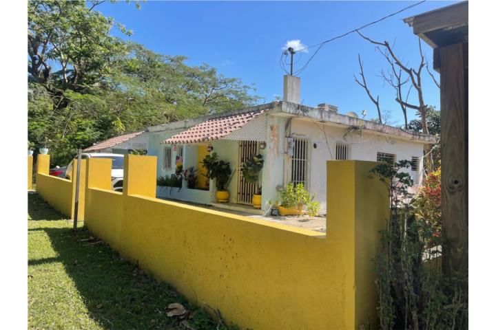 San Antonio Caguas 00725 PR