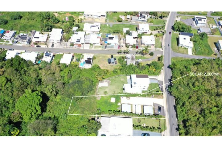 Membrillo Camuy 00627 PR