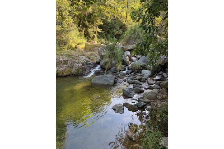 Castaner Lares 00631 PR