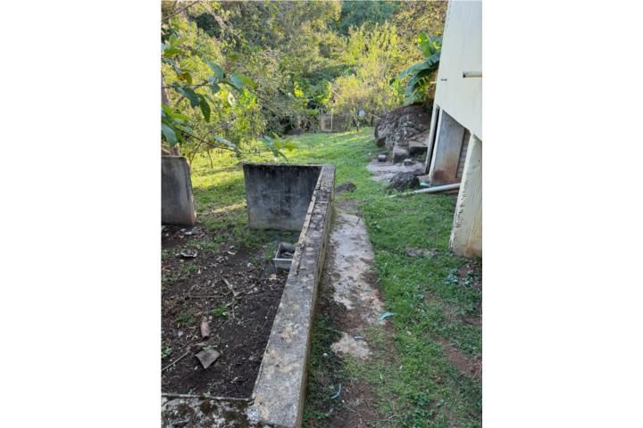 Castaner Lares 00631 PR