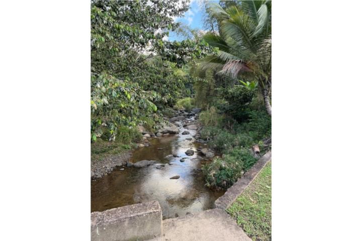 Castaner Lares 00631 PR