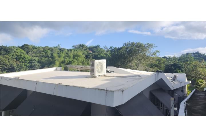 Cerro Gordo Bayamon 00956 PR