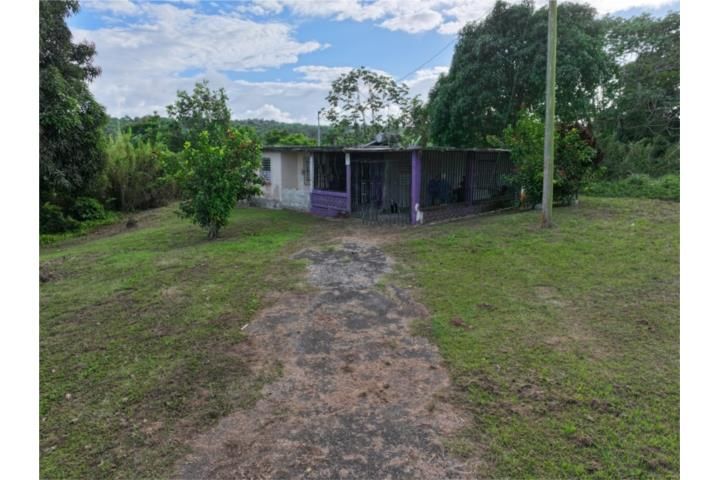 Aibonito Beltran San Sebastian 00685 PR