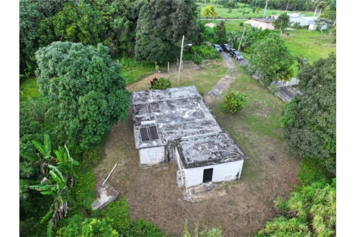 Aibonito Beltran San Sebastian 00685 PR