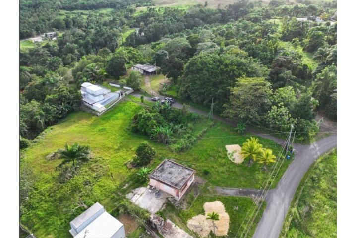 Aibonito Beltran San Sebastian 00685 PR