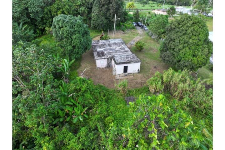 Aibonito Beltran San Sebastian 00685 PR