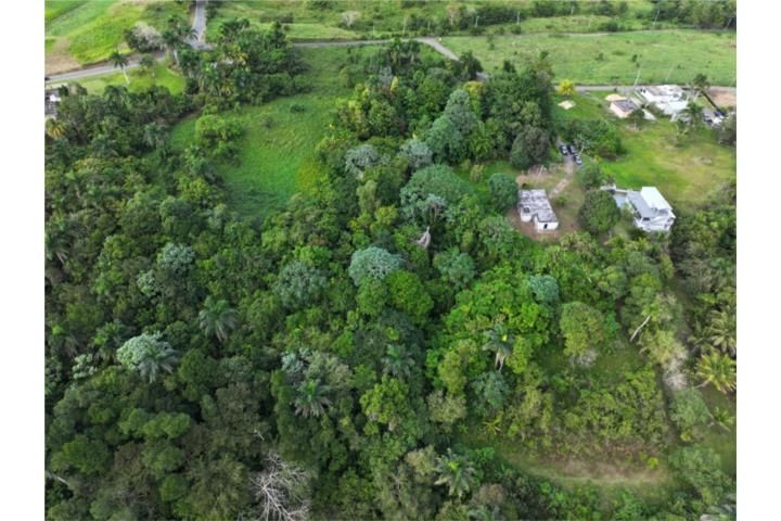 Aibonito Beltran San Sebastian 00685 PR