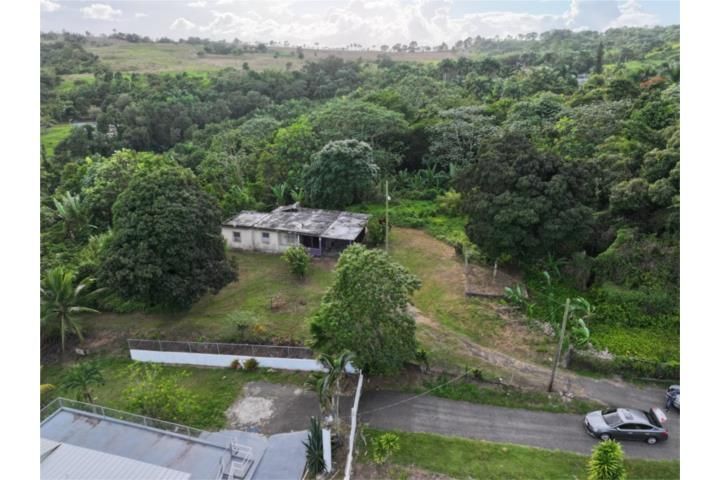 Aibonito Beltran San Sebastian 00685 PR