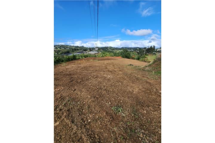 Quebradillas Barranquitas 00794 PR