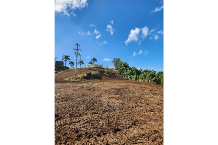 Quebradillas Barranquitas 00794 PR