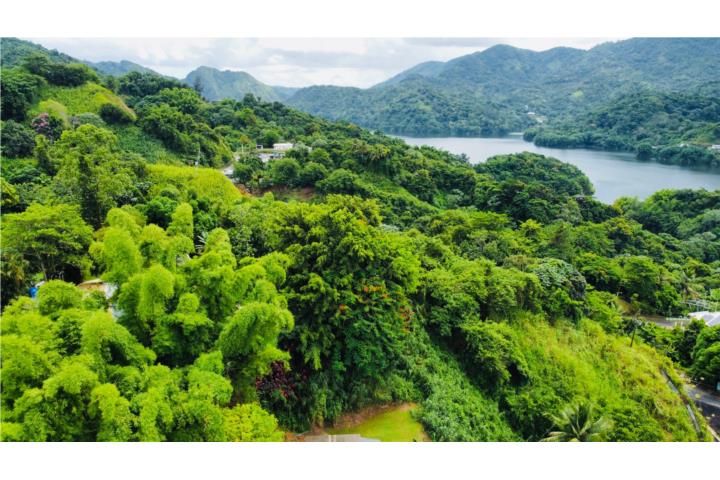 Las Palmas Utuado 00641 PR