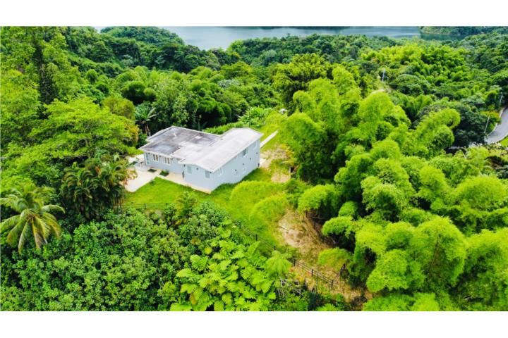 Las Palmas Utuado 00641 PR