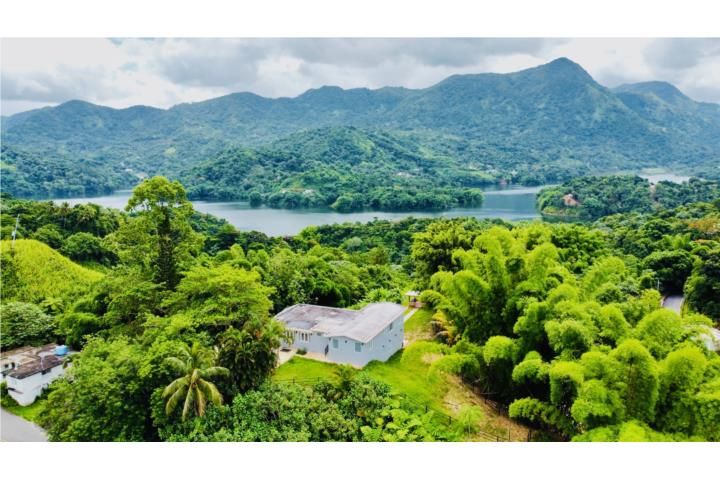 Las Palmas Utuado 00641 PR