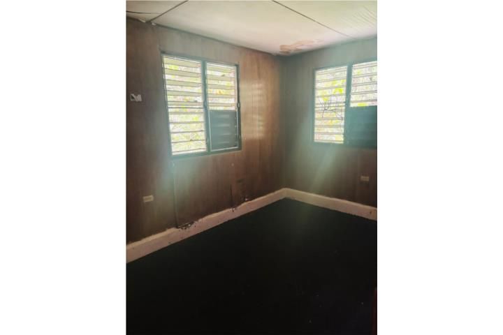 Mula Aguas Buenas 00703 PR