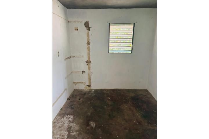 Mula Aguas Buenas 00703 PR