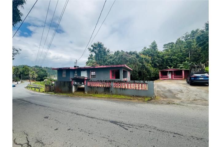 Mula Aguas Buenas 00703 PR