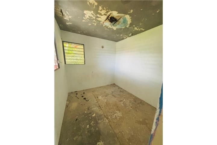 Mula Aguas Buenas 00703 PR
