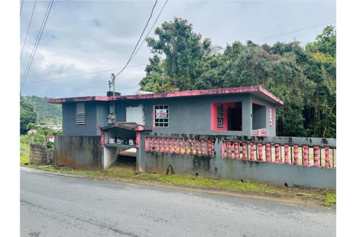 Mula Aguas Buenas 00703 PR